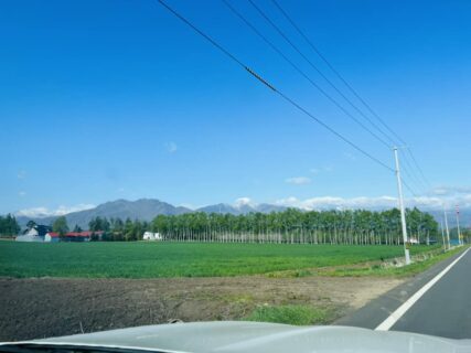 SEIZE THE DAY「THE WORLD」Report-1