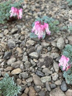 極上の景色@北海道十勝