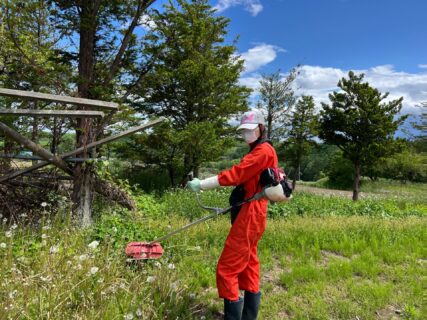 軽トラデビューと農場整備