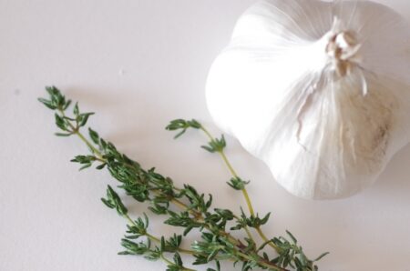 SEIZE THE DAY「THE WORLD」Report-5