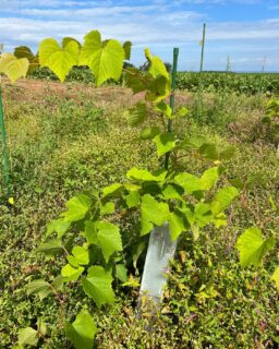すっかり秋の気配