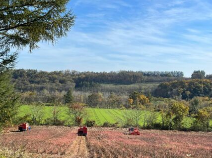 大豆13トンの収穫作業が無事終了！