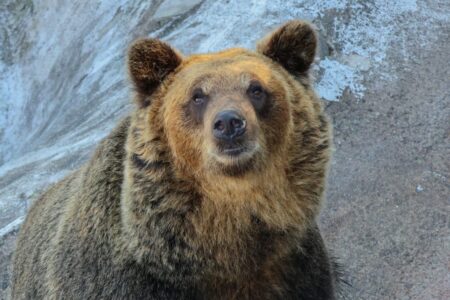 Say goodbye to 2023 – 突きつけられた課題