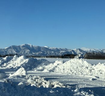 現場でボランティア！