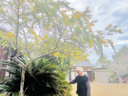 西村陽平氏のアトリエ訪問