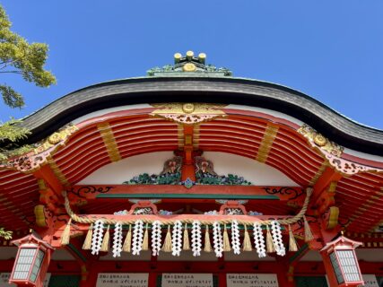 京都は春仕舞まい🌸