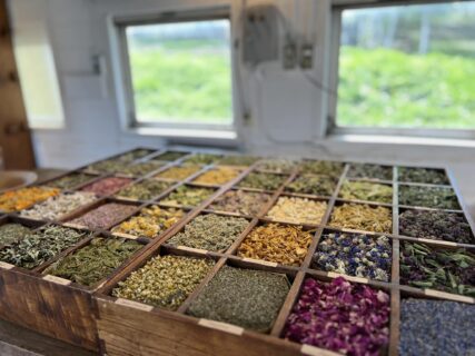 Lienfarmでハーブのお勉強🌺