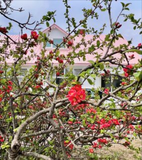 「THE WORLD」農地にて葡萄の植樹ボランティア募集&SEIZE THE DAY「THE WORLD」Report-11