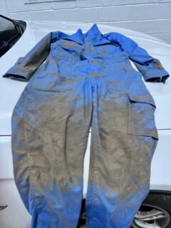 コガネムシハンター