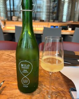 障がいのある人たちがつくるワイナリー