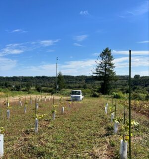 パートナーは軽トラくん🚚