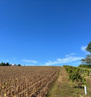 SEIZE THE DAY「THE WORLD」Report-15