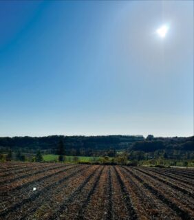 長い出張の後も…もちろん翌日から農地です！