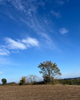 SEIZE THE DAY「THE WORLD」Report-17