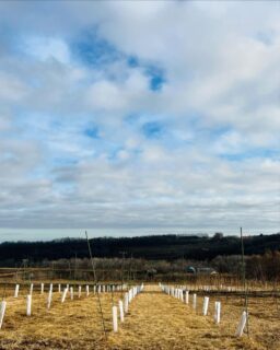 【ご報告】農地仕舞い完了！