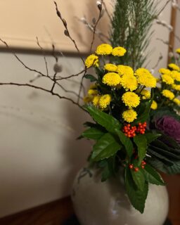 お兄ちゃん is Back！