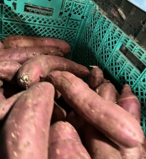 6次産業化研修会@札幌