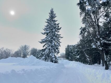 ５５年ぶりの大雪にヒア汗💦