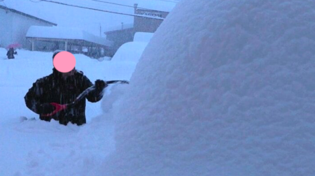 「THE WORLD」農地にて葡萄の植樹ボランティア募集