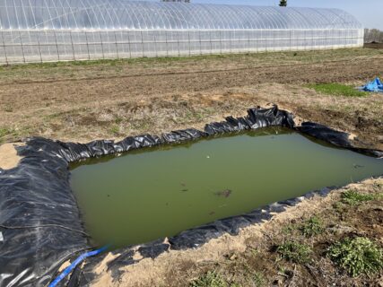 久しぶりのフォークリフトにヒア汗が止まらない💦