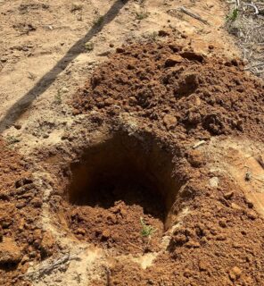 死んでもいないのに体験する２つの地獄