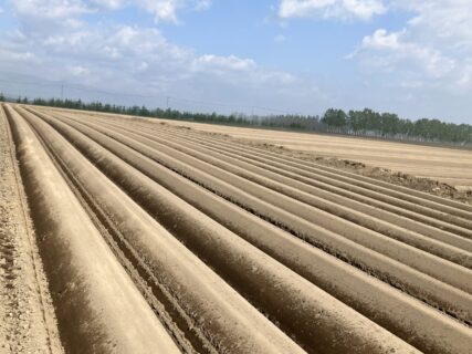 月の植樹ボランティアは60名以上集まりました！