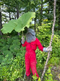 人間ミャクミャク君