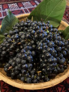 SEIZE THE DAY「THE WORLD」Report-28