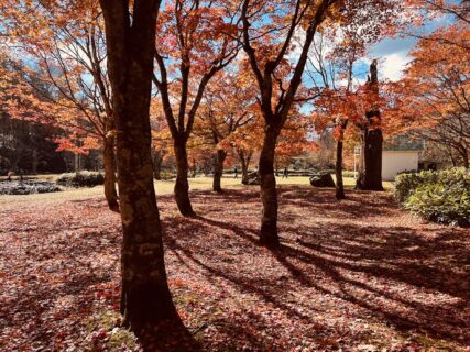 紅葉真っ盛りの十勝平野