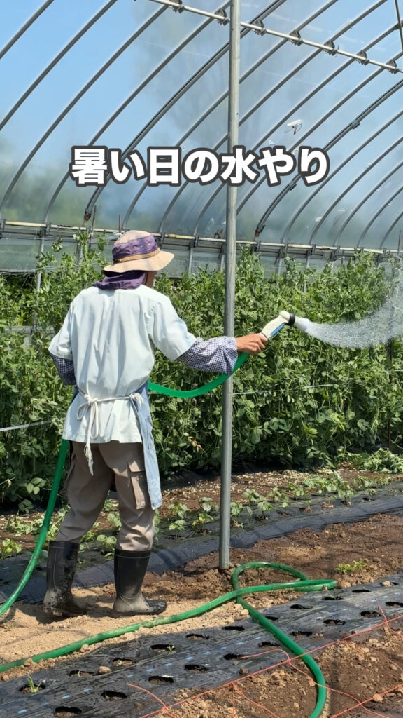 ヒューマノイドになりたい。。。